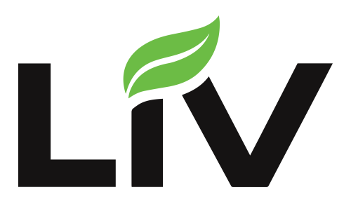 LIV - Lightweight Innovative Vehicles